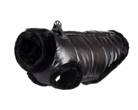 Waterproof Winter Jacket for dogs