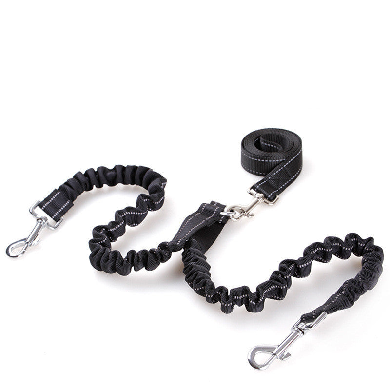Double Headed Dog leash