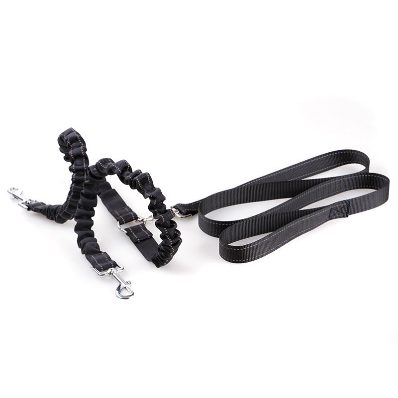 Double Headed Dog leash