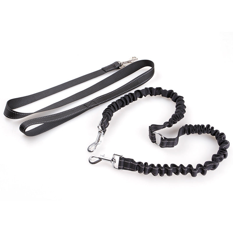 Double Headed Dog leash