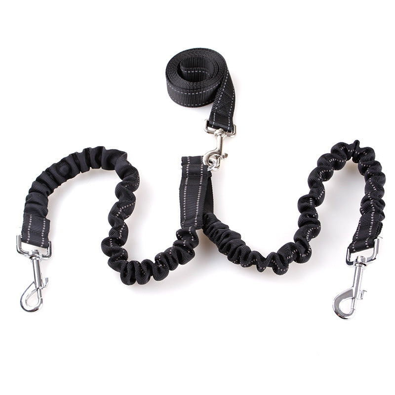 Double Headed Dog leash