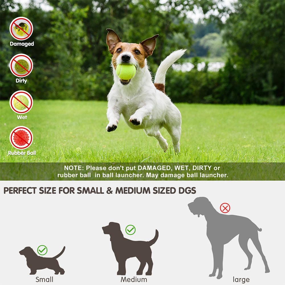 Automatic Throwing Machine for Pets