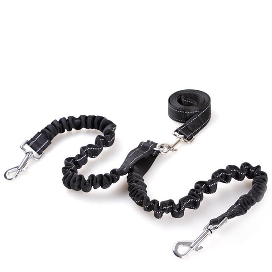 Double Headed Dog leash