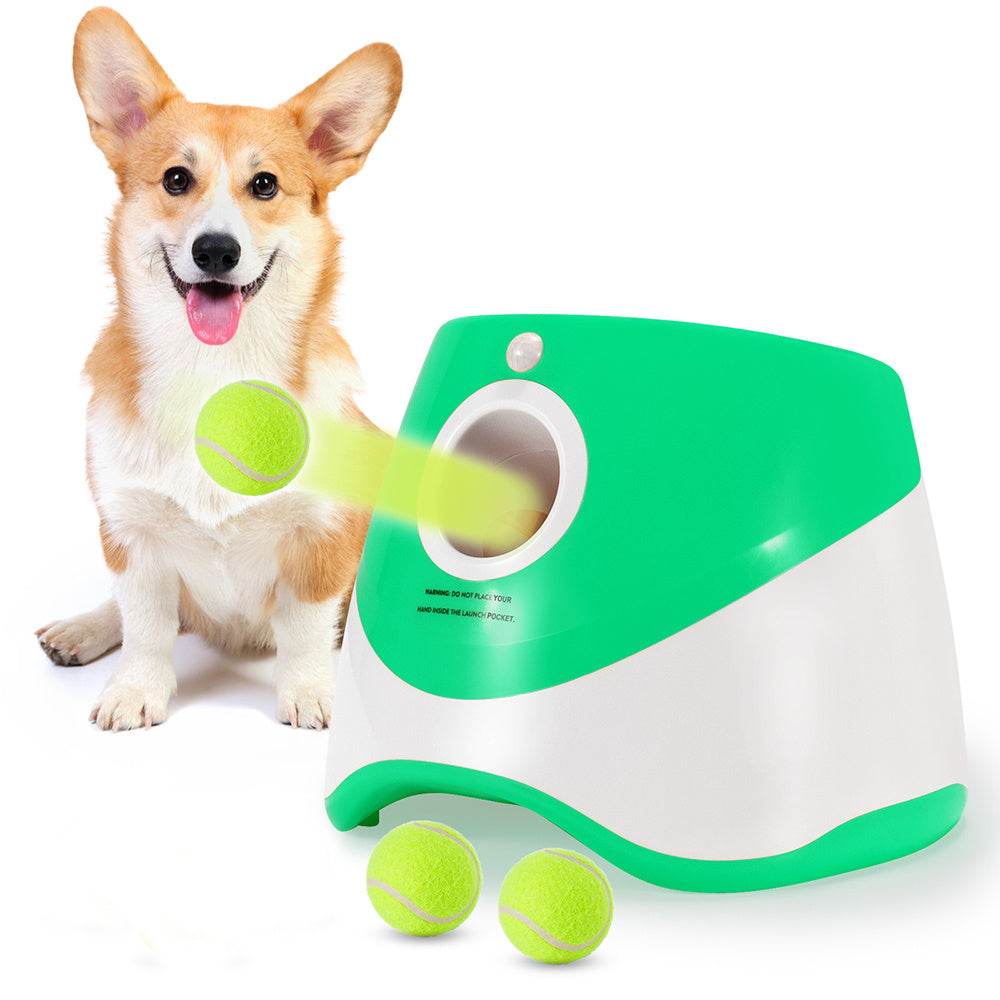 Automatic Throwing Machine for Pets