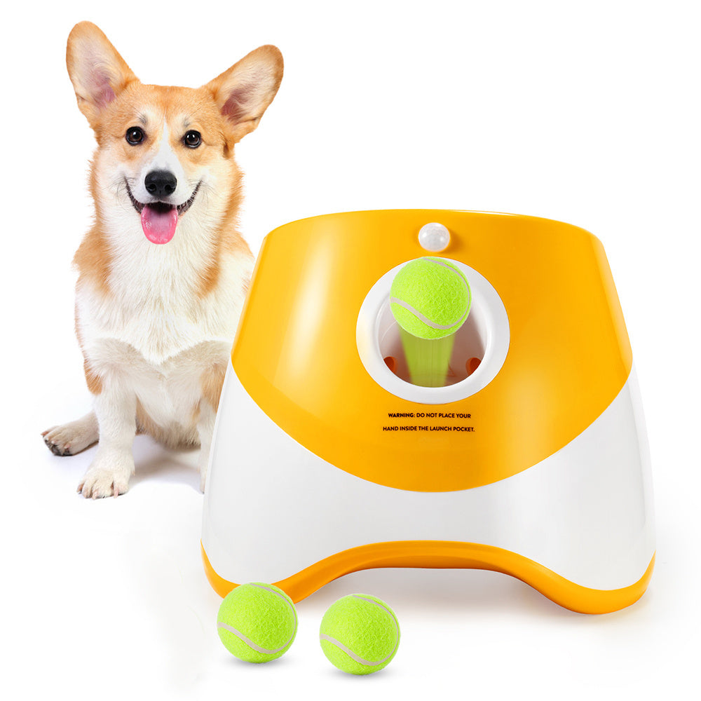 Automatic Throwing Machine for Pets