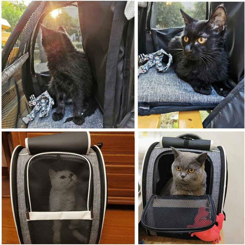 Innovative Traveler Backpack for cats and dogs